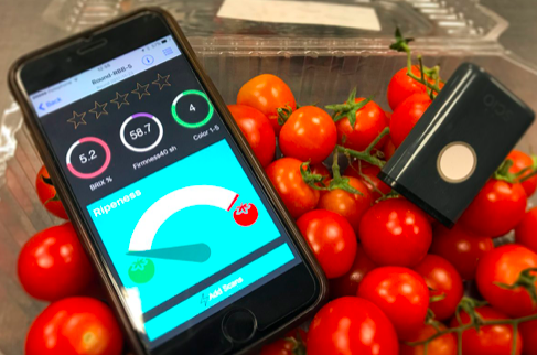 clarifruit start up israélienne