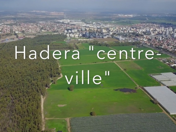 Israfarm - Hadera - Urban vegetable garden in Israel