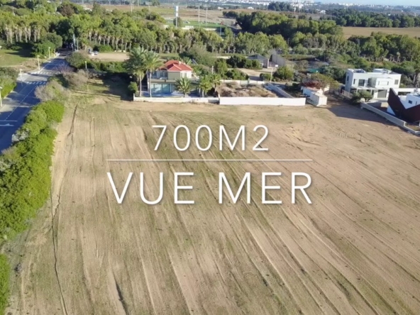 israland - Arsuf , Edition Elite